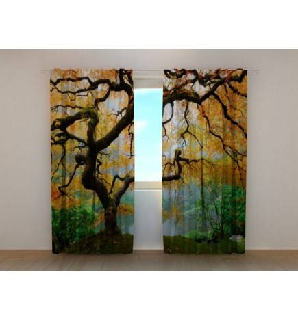 1,00 € Carpa personalizada - con un arroyo japonés