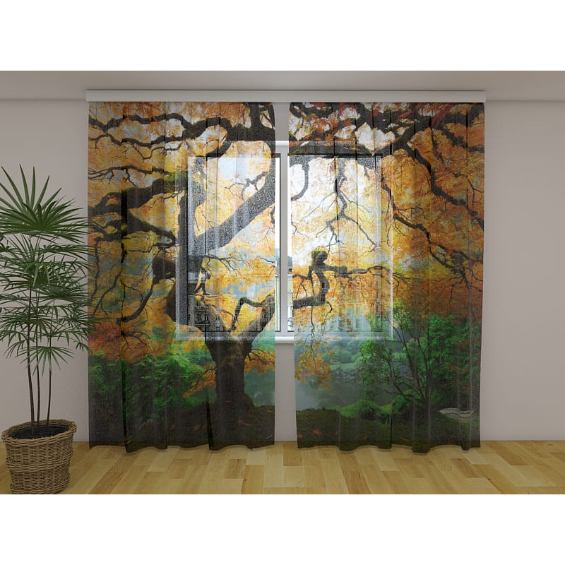 1,00 € Carpa personalizada - con un arroyo japonés