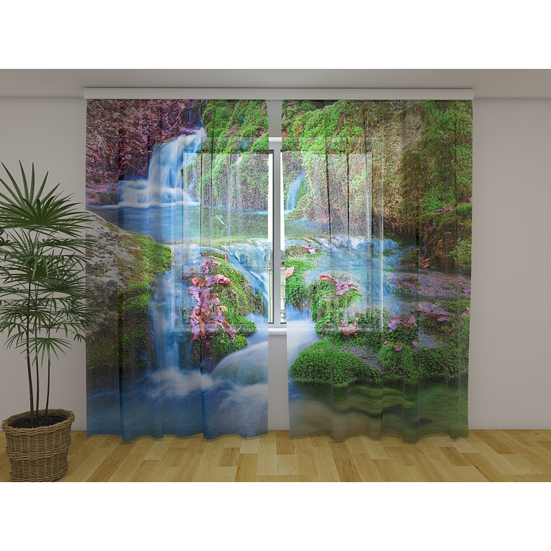 1,00 € Cort personalizat - cu cascade australiene