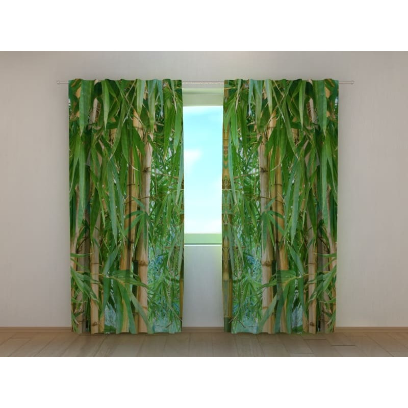 1,00 € Cort personalizat - cu padure de bambus