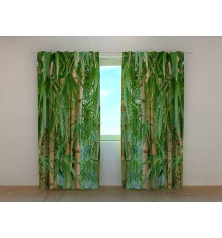 1,00 € Carpa personalizada - con bosque de bambú