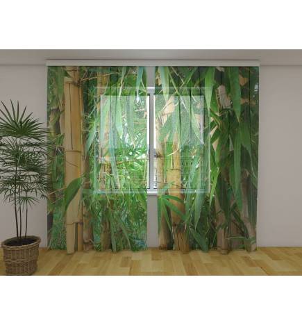 Barraca personalizada - com floresta de bambu