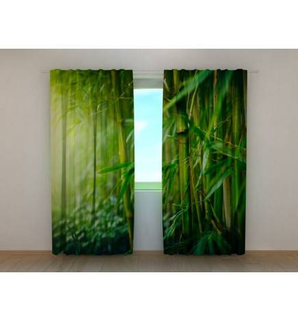 1,00 €Tente sur mesure - avec forêt de bambous