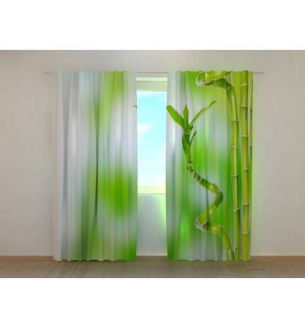 1,00 €Tenda personalizada - com plantas de bambu verde