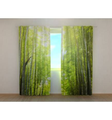 1,00 €Cortina personalizada - com bambu no meio da vegetação