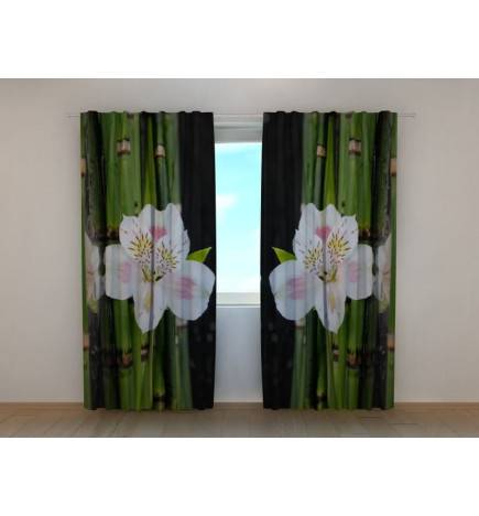 Carpa personalizada - con orquídeas blancas y bambú