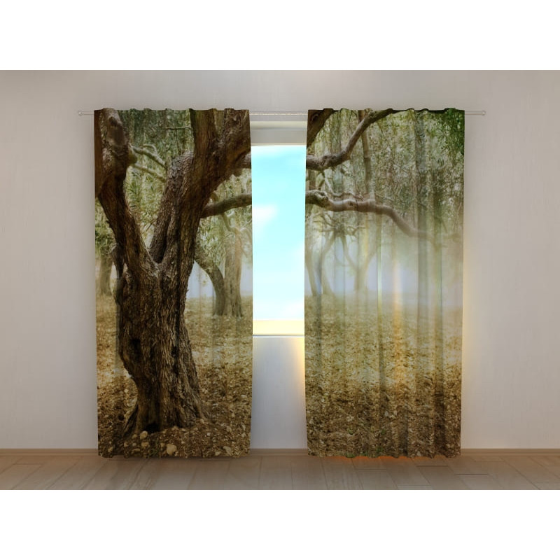 1,00 € Tent op maat - met een olijfboom