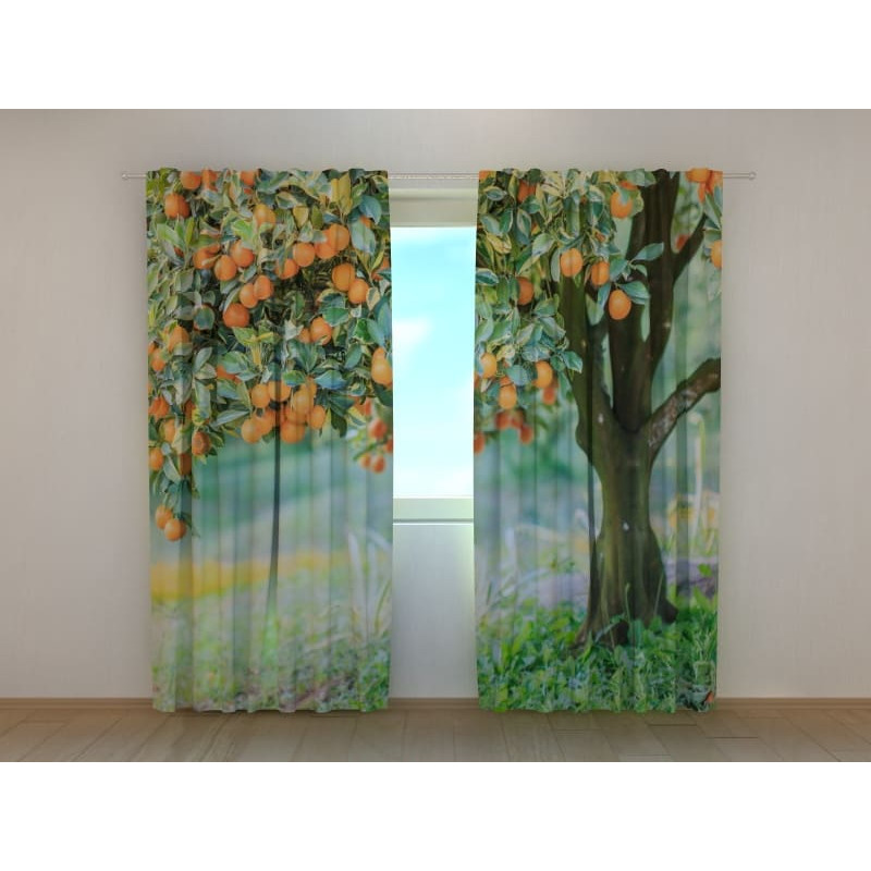 1,00 € Personalized tent - with a tangerine tree