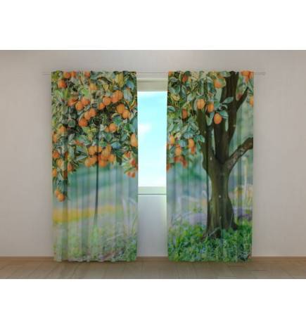 1,00 €Tente personnalisée - avec un mandarinier