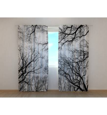 1,00 €Tenda personalizzata - alberi visti dal basso