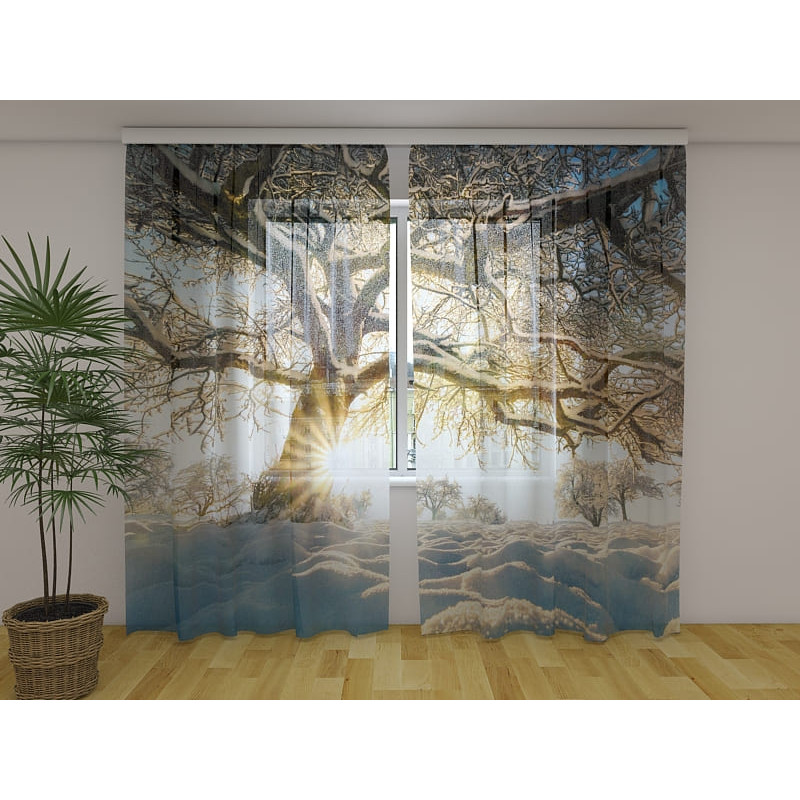 1,00 € Custom Teltta - Puut lumen ympäröimänä