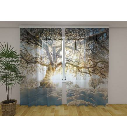 1,00 € Maßgeschneidertes Zelt – Bäume umgeben von Schnee