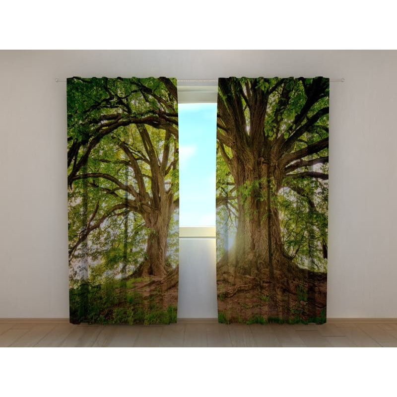 1,00 €Tenda personalizzata - con due alberi - ARREDALACASA