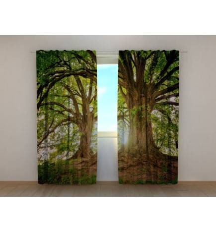 1,00 € Cort personalizat - cu doi copaci - ARREDALACASA