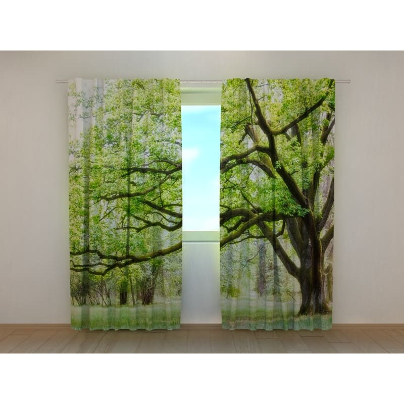 1,00 € Aangepaste tent - met groene bomen 1,00 € Aangepaste tent - met groene bomen