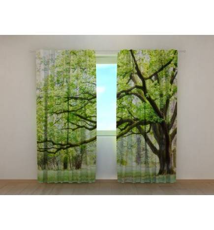 1,00 €Tenda personalizzata - con gli alberi verdi