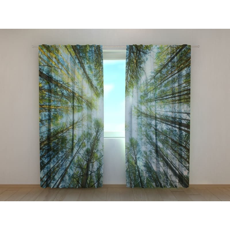 1,00 €Barraca personalizada – com floresta vista de baixo