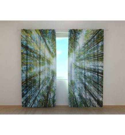 1,00 €Tenda personalizzata - con una foresta vista dal basso