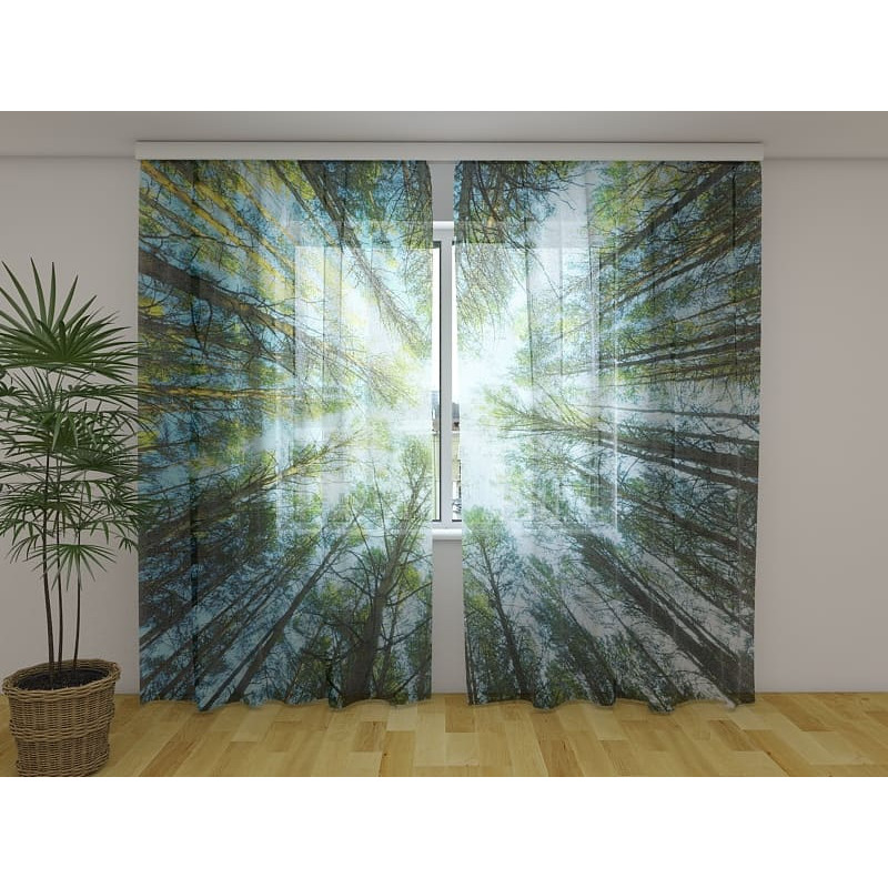 1,00 € Tienda de campaña personalizada: con un bosque visto desde abajo