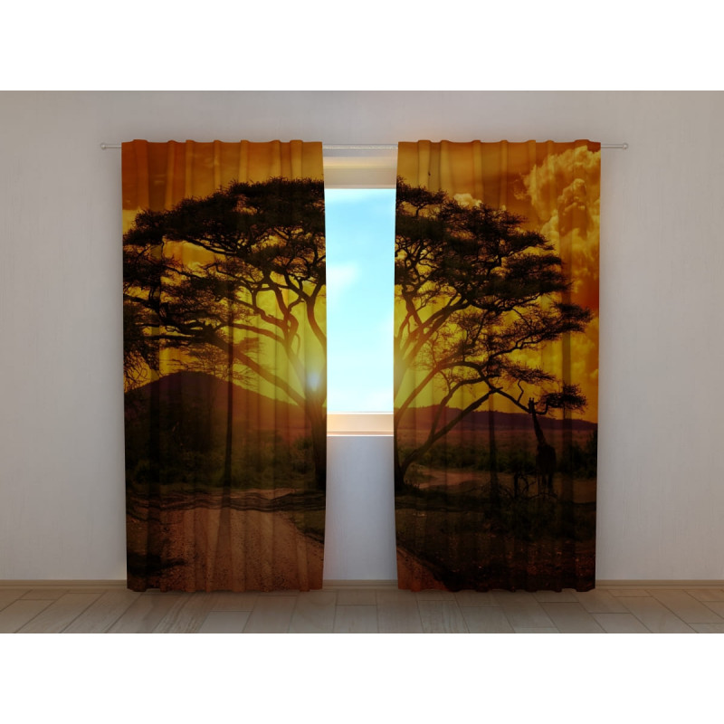 1,00 € Maßgeschneidertes Zelt – mit afrikanischen Bäumen