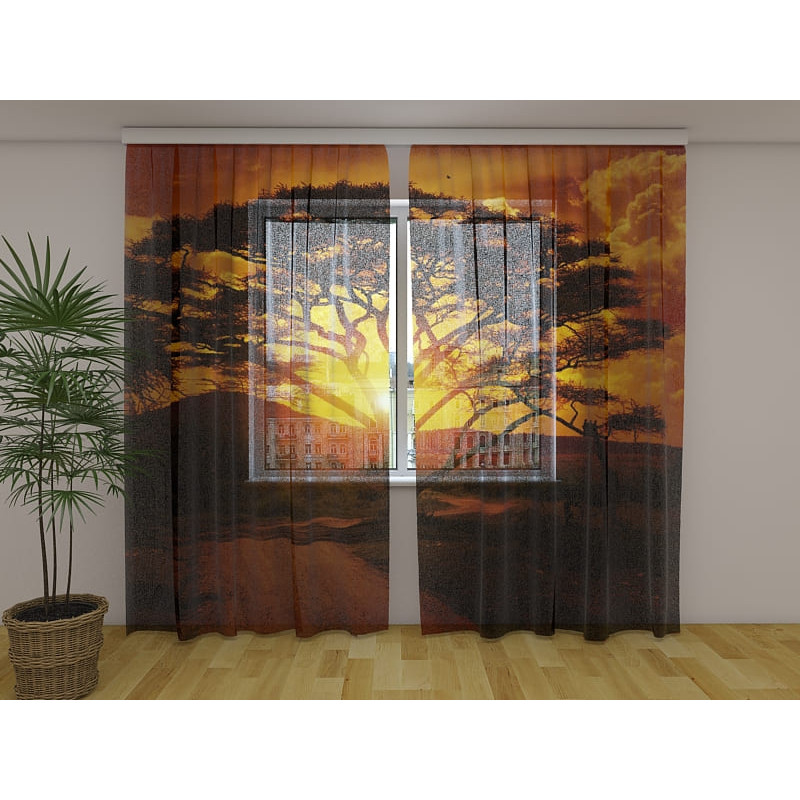 1,00 € Šotor po meri - z afriškimi drevesi