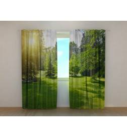 1,00 €Tenda personalizada - Árvores no parque