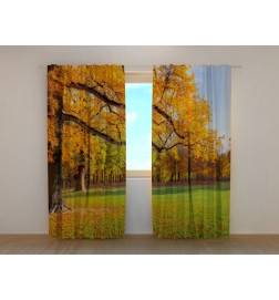 1,00 € Maßgeschneidertes Zelt – Herbstbäume im Park