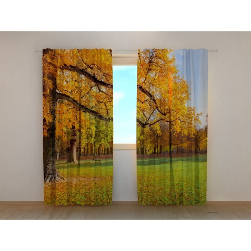 1,00 €Tenda personalizzata - Alberi autunnali nel parco