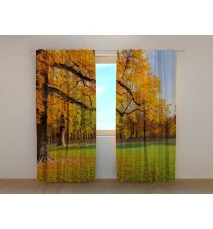 1,00 €Tente personnalisée - Arbres d'automne dans le parc