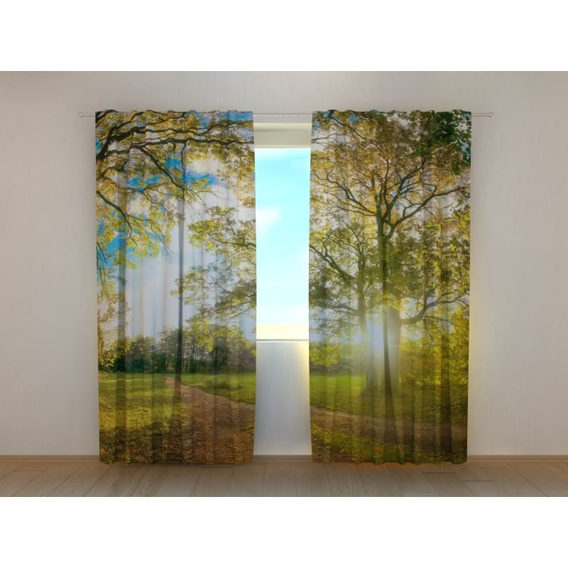 1,00 € Custom tent - Green trees in the park