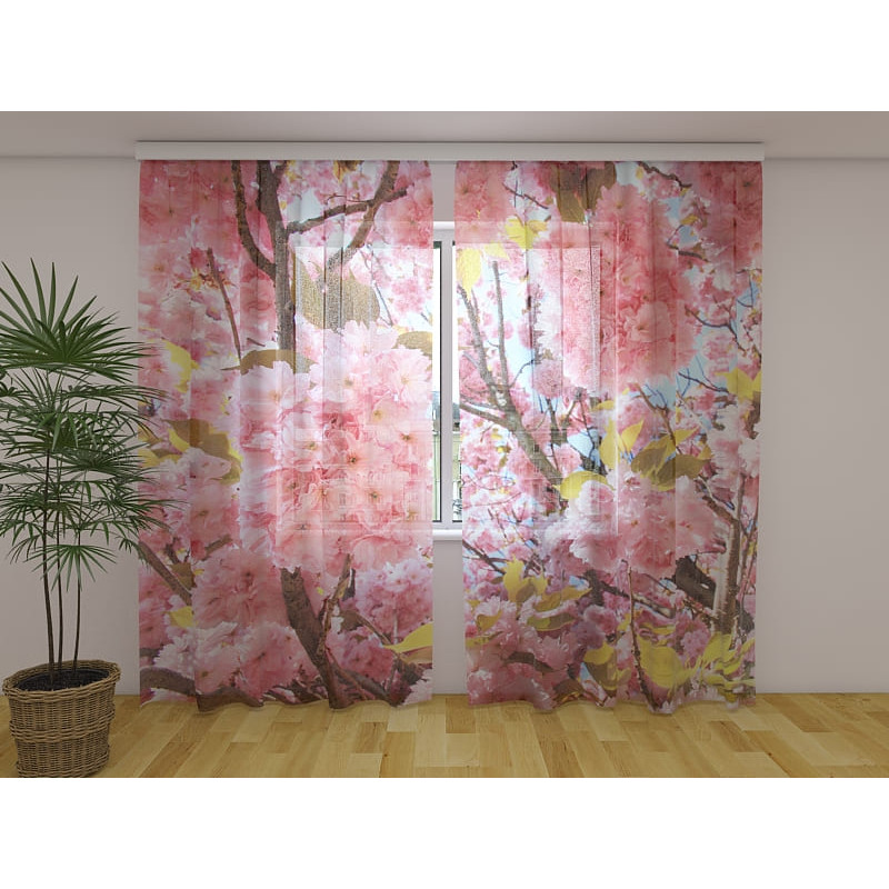 1,00 € Custom curtain - featuring a sakura tree in bloom