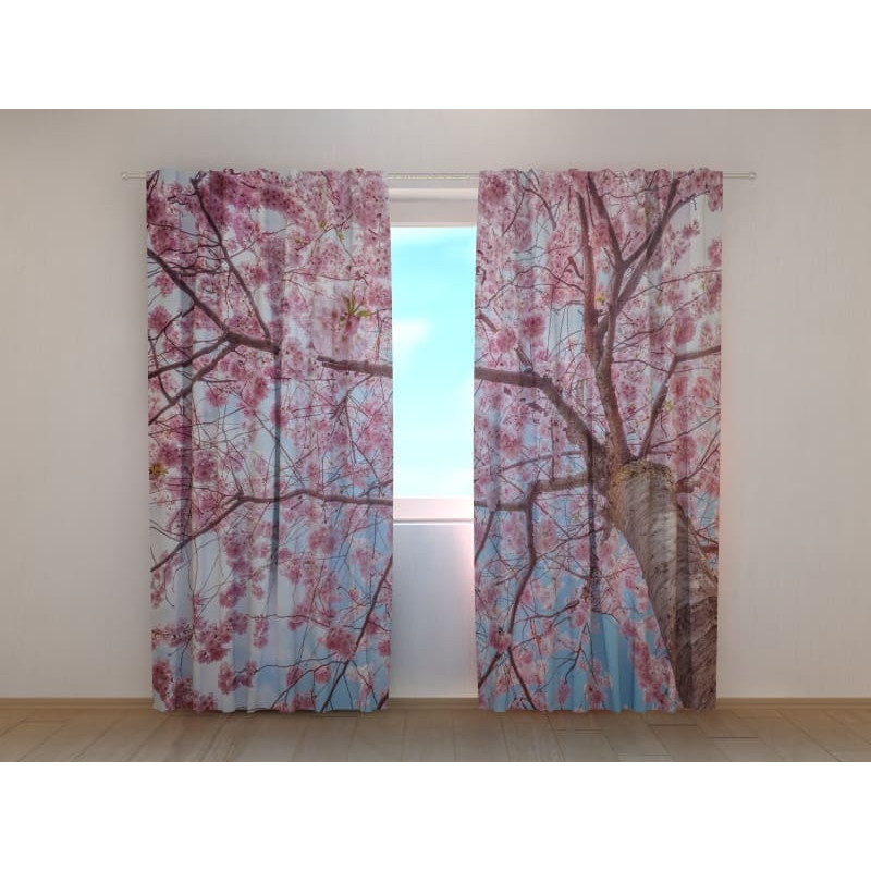 1,00 € Pasūtījuma telts - ar sakuras koku