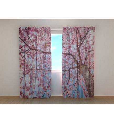 1,00 € Tilausteltta - sakurapuulla