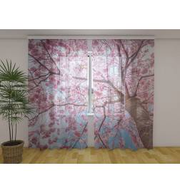 Tilausteltta - sakurapuulla