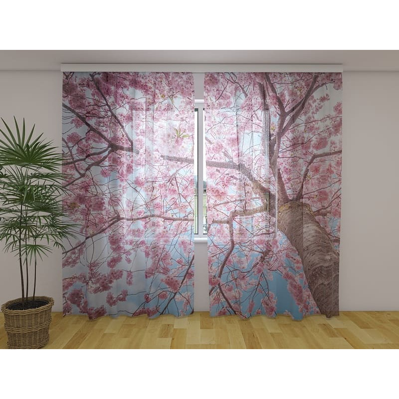 1,00 € Tellimustelk – sakurapuuga