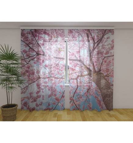 Tilausteltta - sakurapuulla