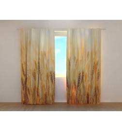 1,00 € Kohandatud telk – maisipõllus