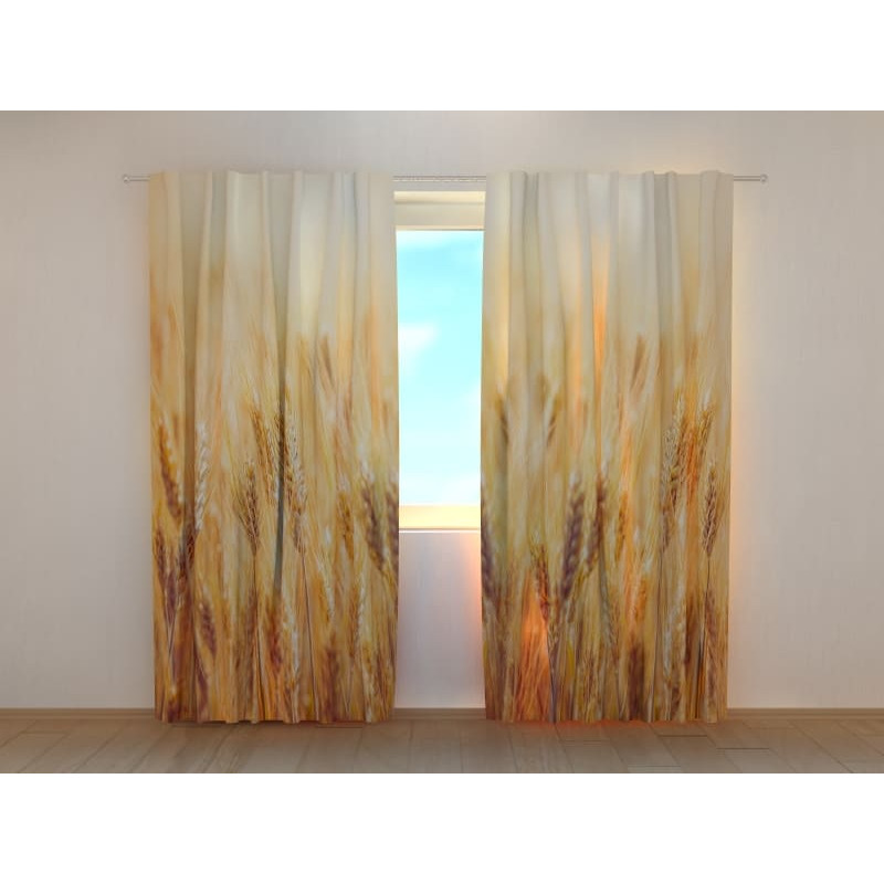 1,00 € Pasūtījuma telts - kukurūzas laukā