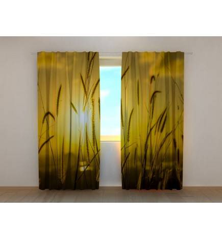 1,00 €Tente personnalisée - avec le soleil sur le champ de maïs