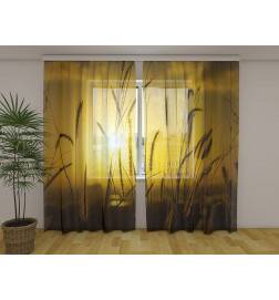 Tienda personalizada - con el sol en el maizal