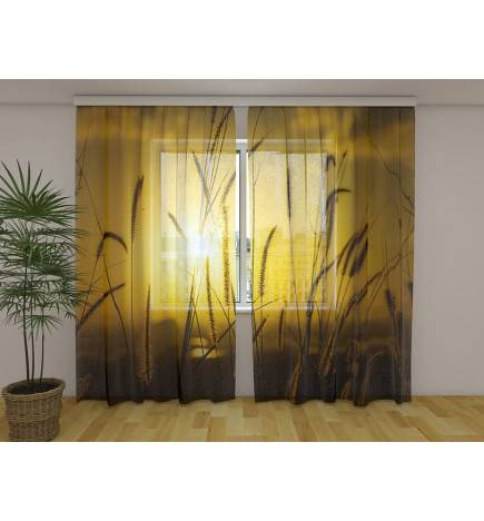 Tenda personalizada – com sol no milharal