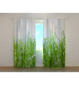 1,00 €Tenda personalizada - com nascimento verde