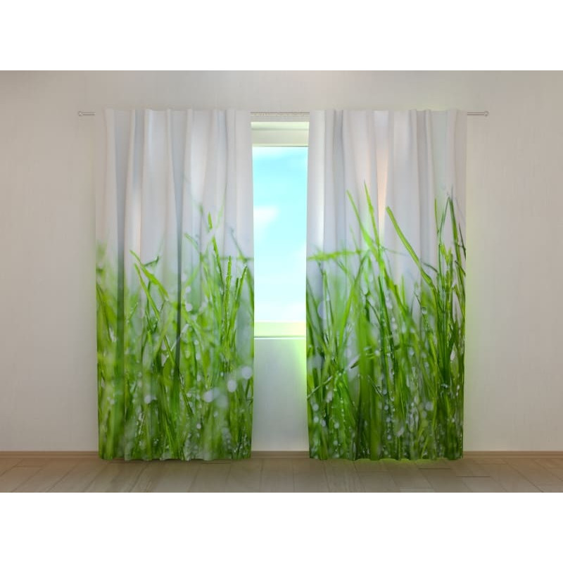 1,00 €Tenda personalizzata - con un parto verde 1,00 €Tenda personalizzata - con un parto verde