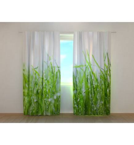 1,00 €Tenda personalizada - com nascimento verde