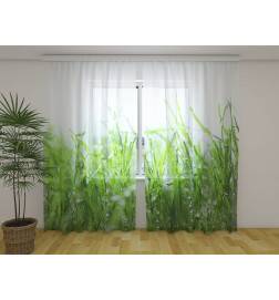 Tenda personalizzata - con un parto verde