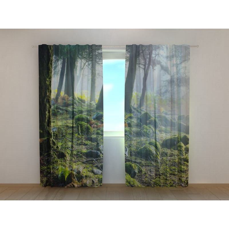 1,00 €Tente sur mesure - Avec pierres dans la forêt 1,00 €Tente sur mesure - Avec pierres dans la forêt