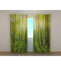 1,00 € Rolgordijn op maat - Met het raam in de zon