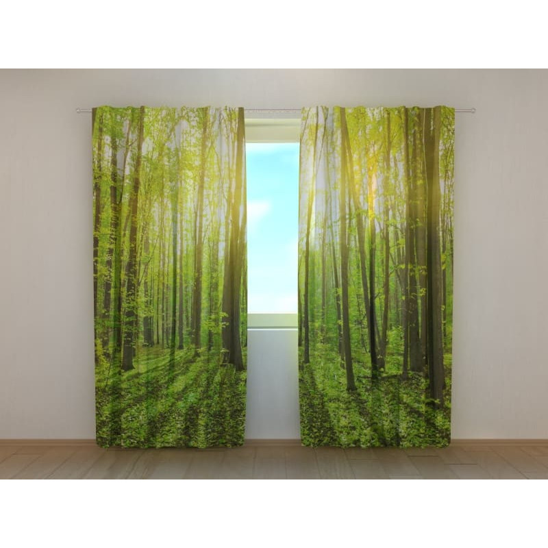 1,00 € Estor a medida - Con la ventana al sol