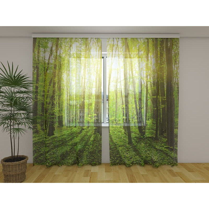 1,00 €Tenda personalizzata - Con la finestra al sole