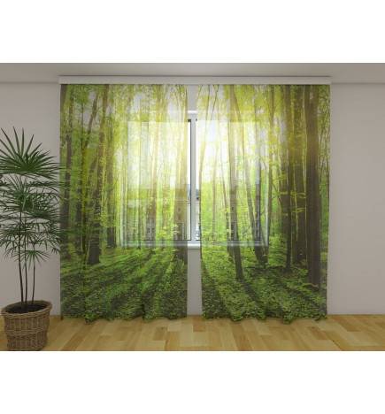 Maßgeschneiderte Jalousien – Mit dem Fenster in der Sonne